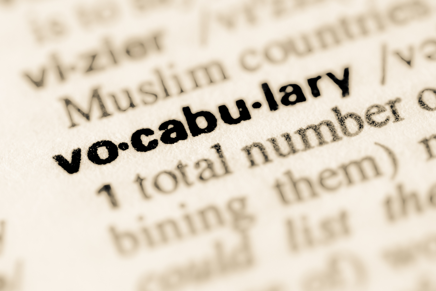 dictionary entry with the word vocabulary bolded